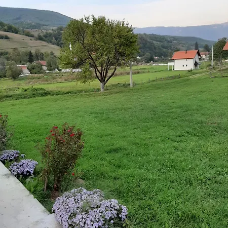 Goles * Travnik